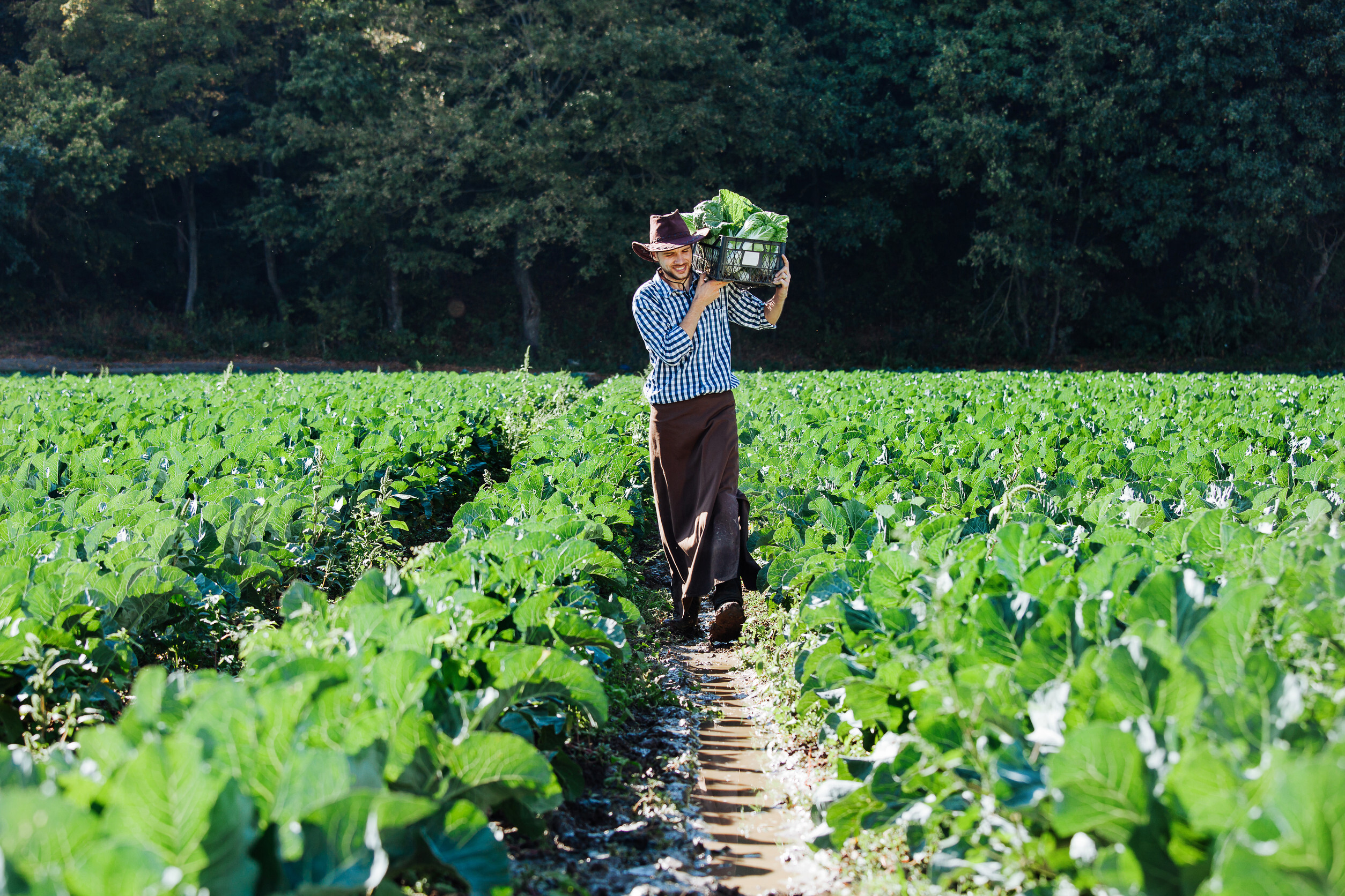 Farmer tending to crops using eco-friendly methods in a Colorado field